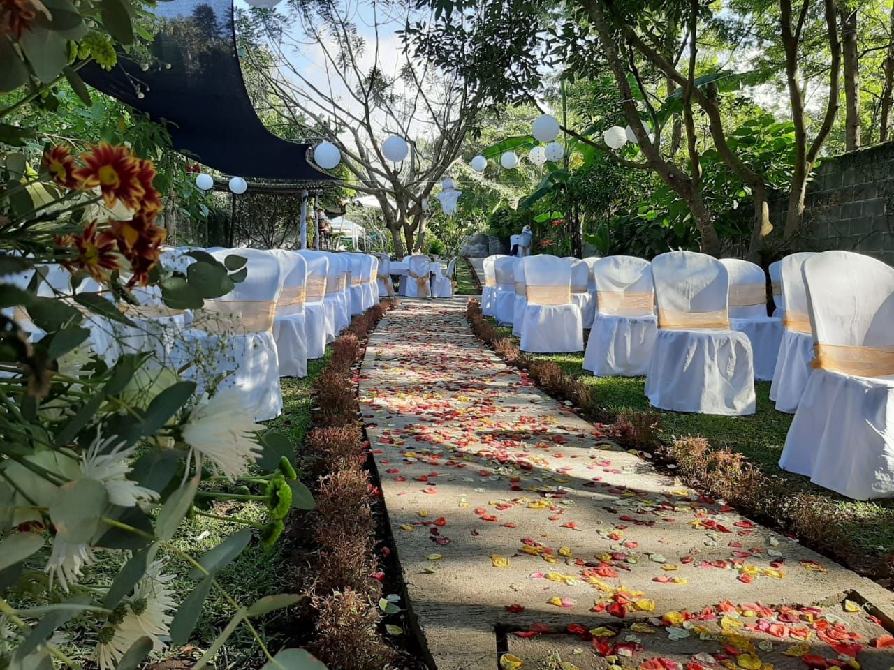 Clarico-Text Two images