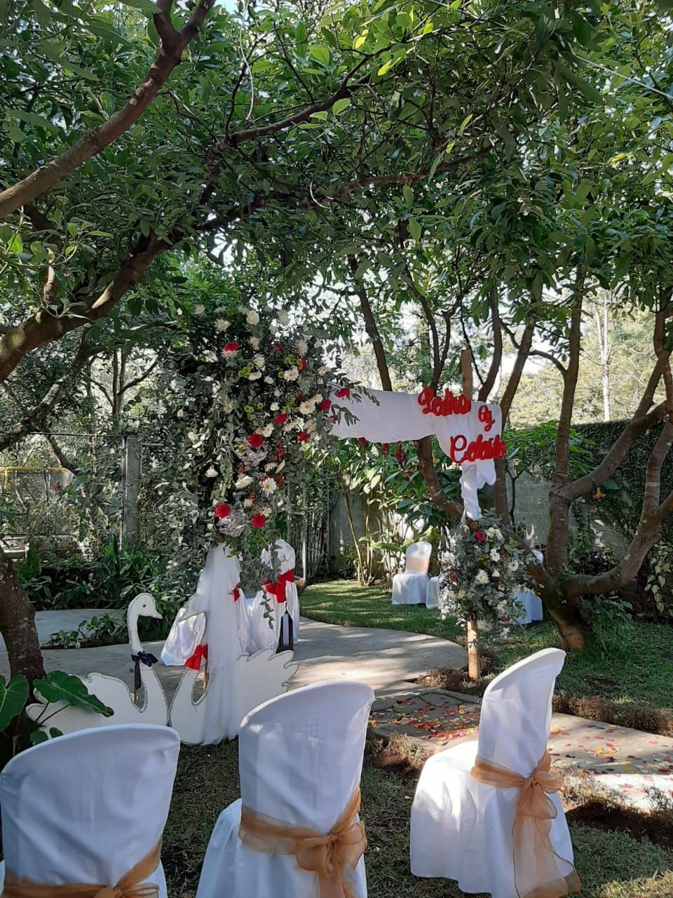 Clarico-Text Two images